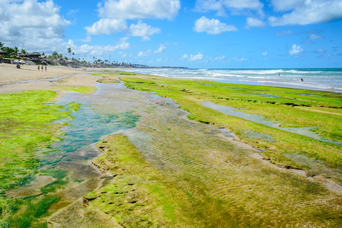 Vista de Ipojuca — un gran destino para hoteles con sauna